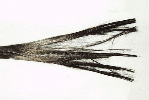 碳纤维的隐藏属性(1)——离散系数